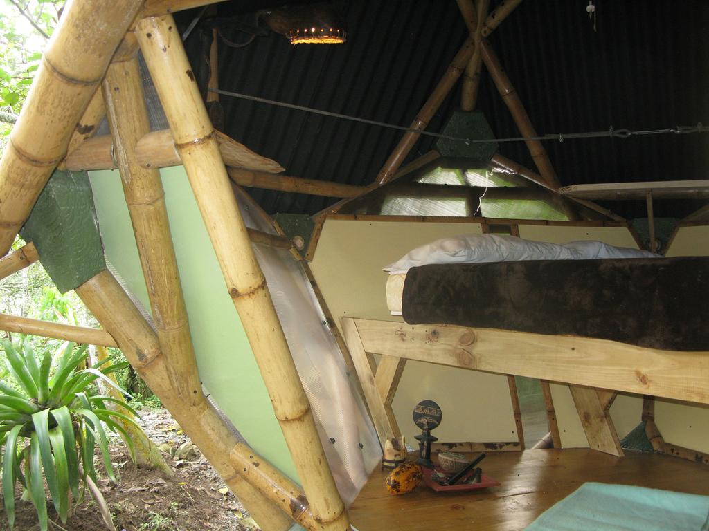 Kasaguadua - Reserva Natural Salento Bilik gambar